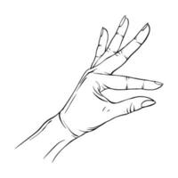 hand- getrokken gebaar schetsen vector illustratie lijn kunst