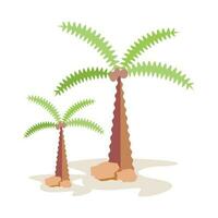 kokosnoot boom vrij vector