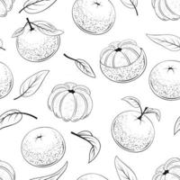 naadloos patroon van sappige mandarijnen vector