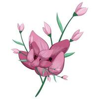 voor de helft bloeien roze bloem struik vector