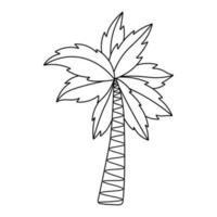 tropisch kokosnoot boom. tekening gemakkelijk clip art. allemaal voorwerpen zijn opnieuw geschilderd. vector