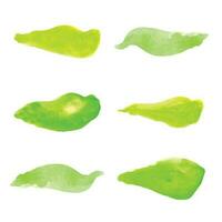 reeks van groen waterverf bladeren, hand- borstel hartinfarct, reeks van voorjaar bladeren waterverf, bladeren vector illustratie