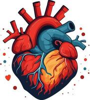 menselijk hart vector illustratie Aan geïsoleerd achtergrond