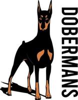 dobermans hond logo ontwerp vector kunst