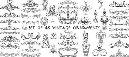 reeks van 48 tekening schetsen tekening wijnoogst ornamenten, bruiloft kaart ontwerp element of bladzijde decoratie, vector grafisch