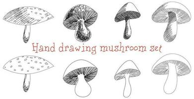 hand- tekening champignons voor fantasie boeken en kleur boeken vector