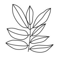 lijn kunst bladeren botanisch illustratie vector