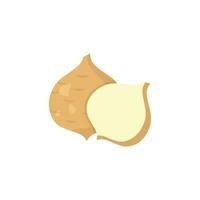 jicama icoon vector