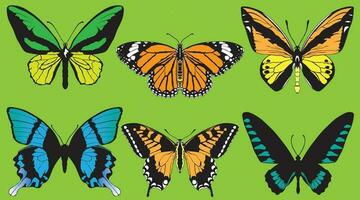 vlinders vector 2 kleur