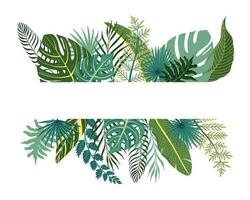 tropisch bladeren samenstelling vector