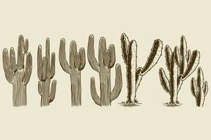 cactus en sappige hand getrokken set vector