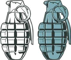 illustratie van twee granaten vector