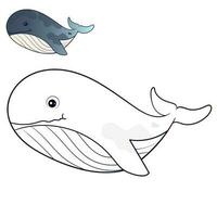 walvis kleur bladzijde gekleurde illustratie. tekenfilm walvis karakter voor kinderen, kleur en vodje boek vector