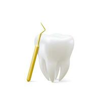 realistisch tand en tandheelkundig sonde voor tanden geïsoleerd Aan wit achtergrond. medisch tandarts hulpmiddel. tandheelkunde, gezondheidszorg, hygiëne concept. vector illustratie