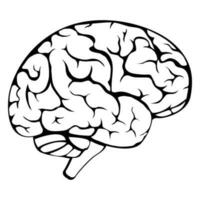 menselijk hersenen medisch vector icoon illustratie geïsoleerd Aan wit achtergrond.