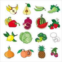 set van groenten en fruit vector