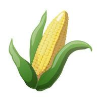 maïs van vector vlak illustratie