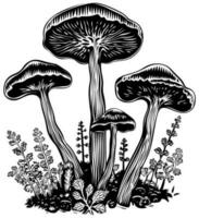 champignons zwart en wit vector