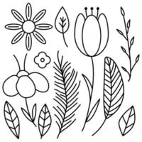 botanische bladeren set collectie van tropische planten en bloemen vector