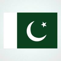 vlag van Pakistan met geïsoleerd helling achtergrond vector