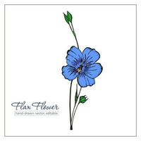 kleurrijk hand- getrokken vlas bloemen en vlas zaden voor ontwerp, decoratie. blauw Wildflower. vector