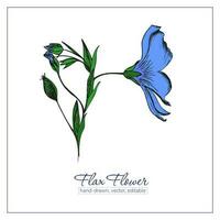 kleurrijk hand- getrokken vlas bloemen en vlas zaden voor ontwerp, decoratie. blauw Wildflower. vector