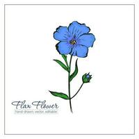 kleurrijk hand- getrokken vlas bloemen en vlas zaden voor ontwerp, decoratie. blauw Wildflower. vector