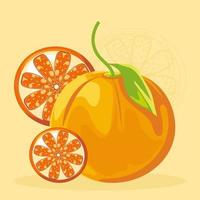 tropische fruitsinaasappels vector