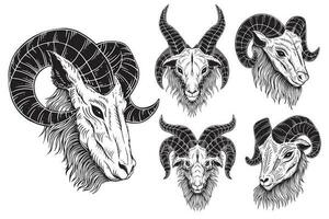 reeks bundel satanisch geit hoofd hoorns schapen schedel donker kunst zwart wit voor tatoeëren kleding hand- getrokken illustratie vector