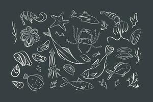 zeevruchten hand- getrokken vector illustratie. krabben, kreeften, garnalen, oesters, mosselen, inktvissen. wijnoogst sjabloon. Aan een grijs achtergrond.vector illustratie.