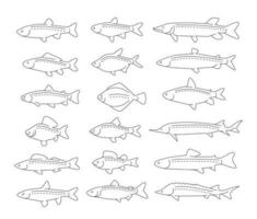 vis reeks pictogrammen in lineair stijl. visvangst concept symbolen collectie.dieren geïsoleerd vector illustratie.