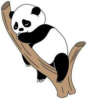 vrij vector schattig panda sticker