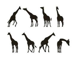 giraffe silhouet illustratie, groep van Afrikaanse vector