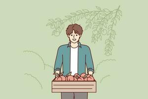 Mens boer met perziken in houten doos staat in tuin of plantage na fruit oogst. boer vent plukken fruit van bomen voor uitverkoop Bij eerlijk van biologisch producten zonder chemisch pesticiden vector