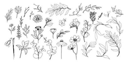 reeks van modieus bruiloft botanicals verzameling. hand getekend bloemen krabbels. vector