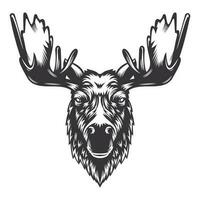 eland hert hoofd ontwerp met Hoorn. boerderij dier. koeien logos of pictogrammen. vector illustratie