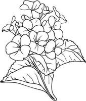 gemakkelijk bloem kleur Pagina's, kleur Pagina's voor volwassenen, hand- tekening primula bloem schetsen kunst van, bloesem paars bloem lijn kunst vector illustratie, bloemen tuin voor mooi schattig gemakkelijk bloem kunst