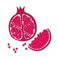 granaatappel fruit porties vers natuur icon vector