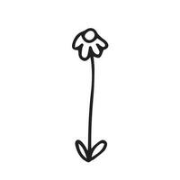 vector zomer bloem illustratie. schattig madeliefje bloem schetsen