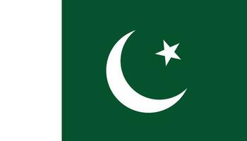 Pakistan vlag icoon in vlak stijl. nationaal teken vector illustratie. politiek bedrijf concept.