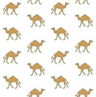 vector naadloos patroon van hand- getrokken kameel
