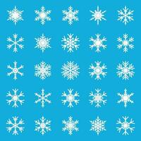 sneeuwvlok reeks icoon in vlak stijl. sneeuw vlok winter vector illustratie Aan geïsoleerd achtergrond. Kerstmis sneeuwval sneeuwvlokken ornament verzameling bedrijf concept.