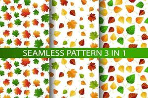 veelkleurig herfst naadloos patroon reeks 3 in 1 van herfst berk en esdoorn- bladeren Aan een wit of transparant achtergrond vector