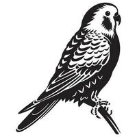grasparkiet silhouet, grasparkiet mascotte logo, grasparkiet zwart en wit dier symbool ontwerp, vogel icoon. vector