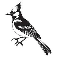 blauw gaai silhouet, blauw gaai mascotte logo, blauw gaai zwart en wit dier symbool ontwerp, vogel icoon. vector
