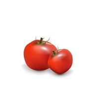 tomaat in cartoon volumetrische stijl geïsoleerd op een witte achtergrond vector