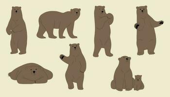 grizzly beer schattig groep vector