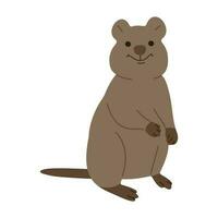 quokka single schattig vector