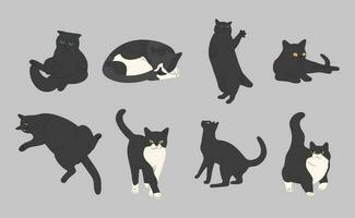 zwart kat schattig vector