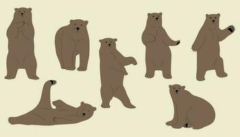 grizzly beer schattig groep vector